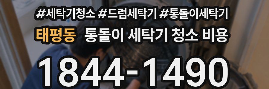 태평동 통돌이 세탁기 청소 비용