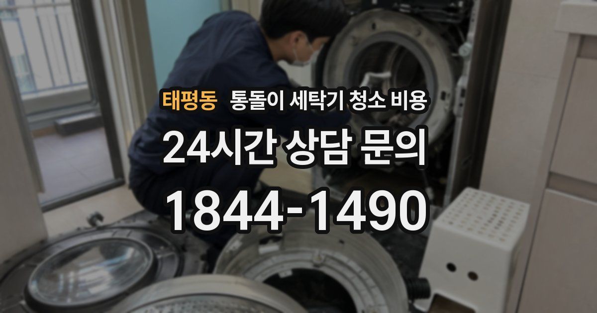 태평동 통돌이 세탁기 청소 비용