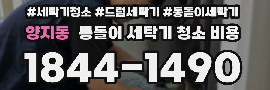 양지동 통돌이 세탁기 청소 비용