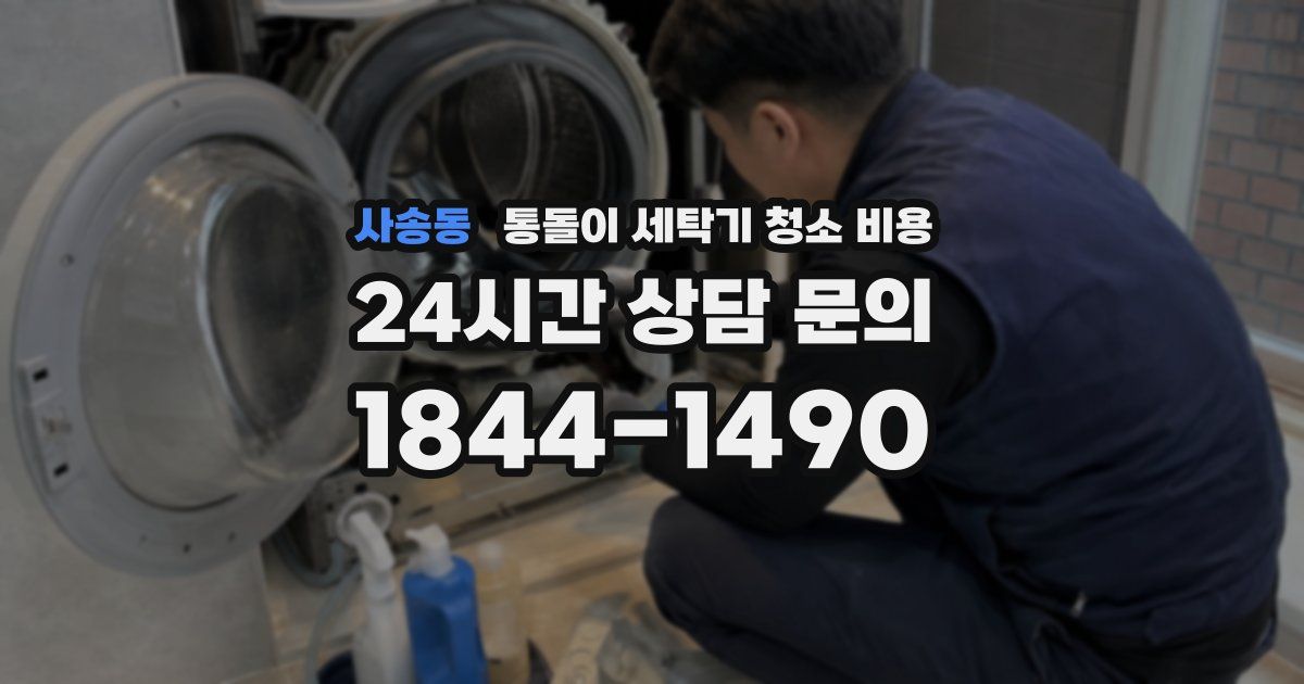 사송동 통돌이 세탁기 청소 비용