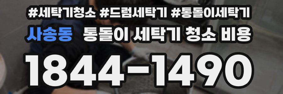 사송동 통돌이 세탁기 청소 비용