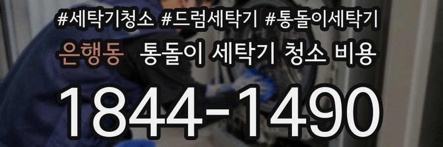 은행동 통돌이 세탁기 청소 비용