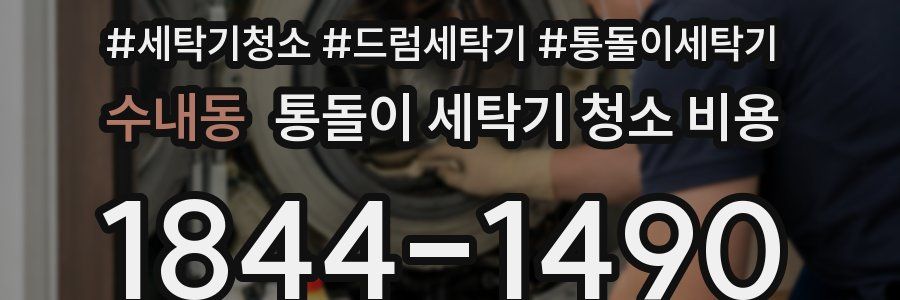 수내동 통돌이 세탁기 청소 비용