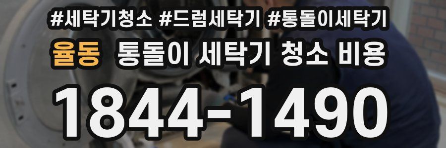율동 통돌이 세탁기 청소 비용