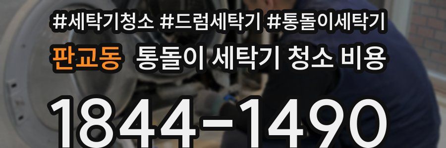 판교동 통돌이 세탁기 청소 비용