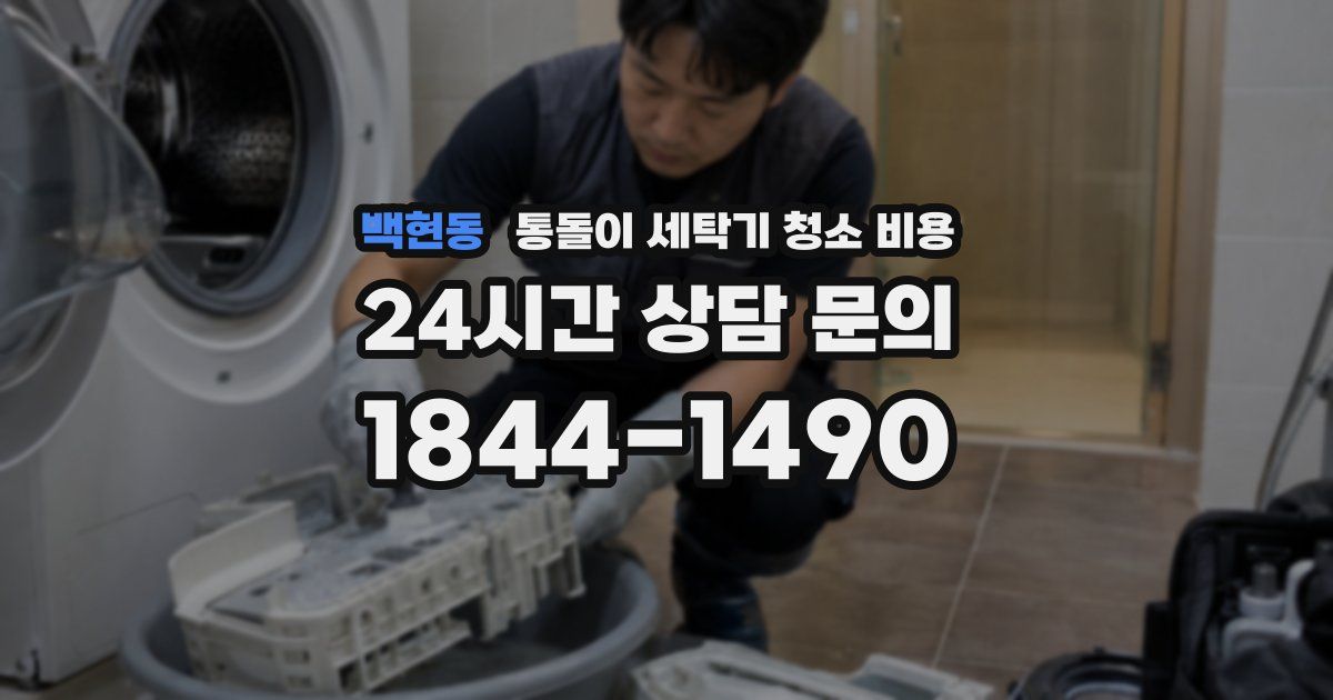 백현동 통돌이 세탁기 청소 비용