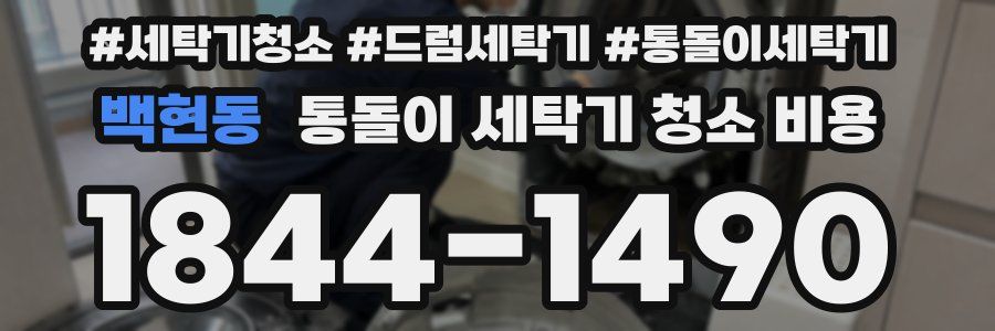 백현동 통돌이 세탁기 청소 비용