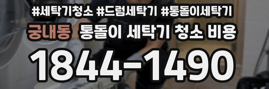 궁내동 통돌이 세탁기 청소 비용