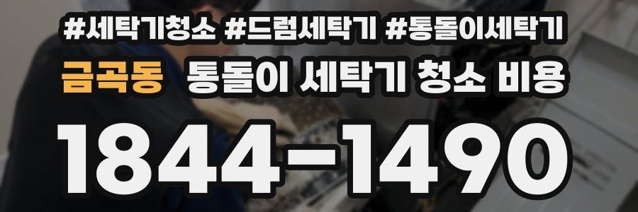 금곡동 통돌이 세탁기 청소 비용