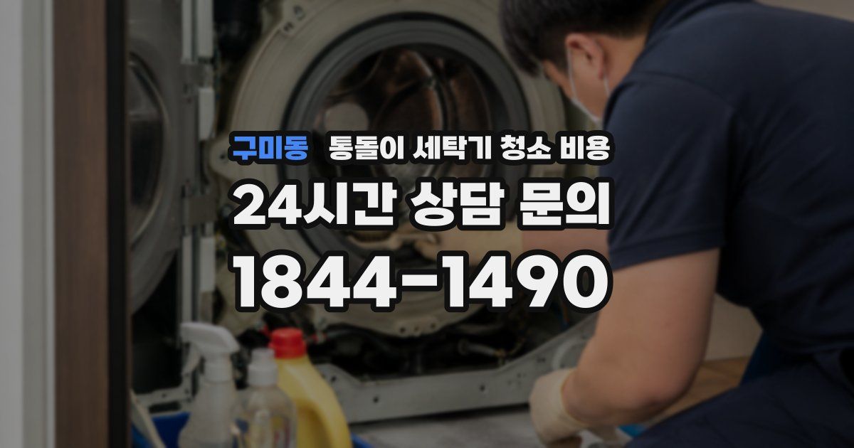 구미동 통돌이 세탁기 청소 비용
