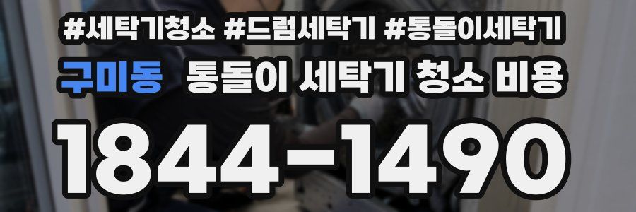 구미동 통돌이 세탁기 청소 비용
