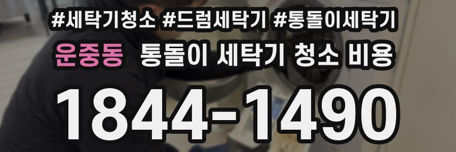 운중동 통돌이 세탁기 청소 비용