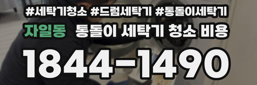 자일동 통돌이 세탁기 청소 비용