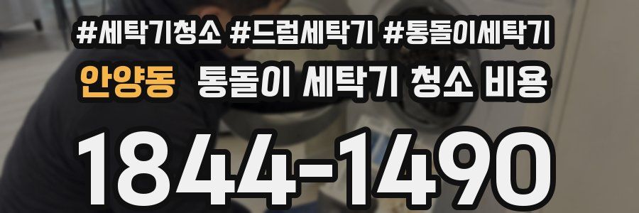 안양동 통돌이 세탁기 청소 비용