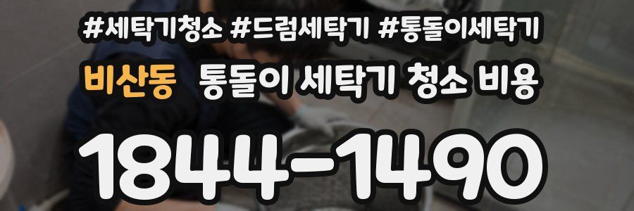 비산동 통돌이 세탁기 청소 비용