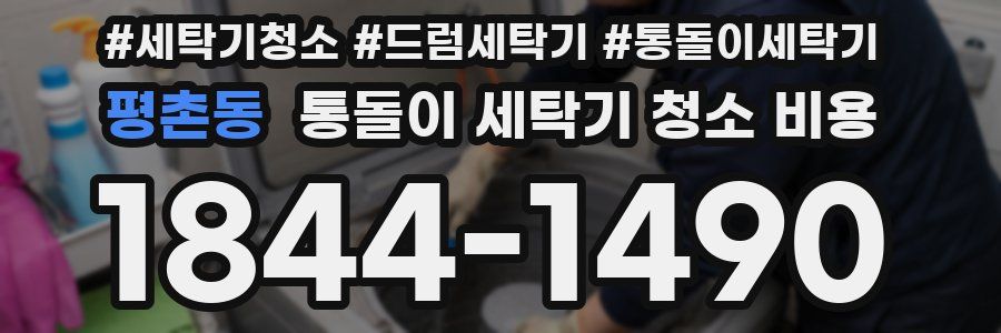 평촌동 통돌이 세탁기 청소 비용
