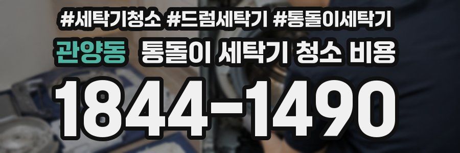 관양동 통돌이 세탁기 청소 비용