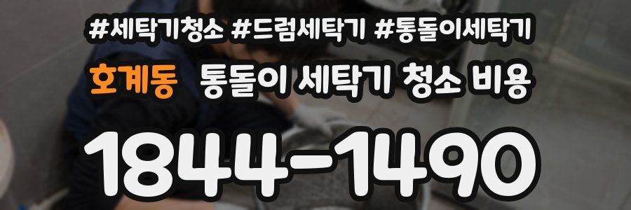 호계동 통돌이 세탁기 청소 비용