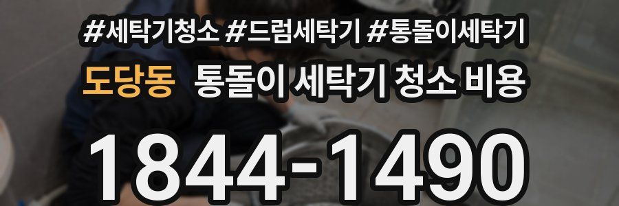 도당동 통돌이 세탁기 청소 비용