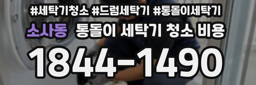 소사동 통돌이 세탁기 청소 비용