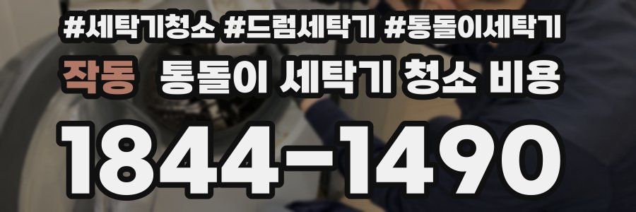 작동 통돌이 세탁기 청소 비용