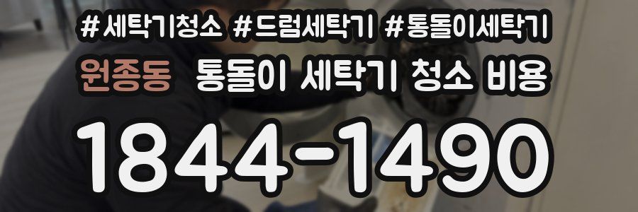 원종동 통돌이 세탁기 청소 비용