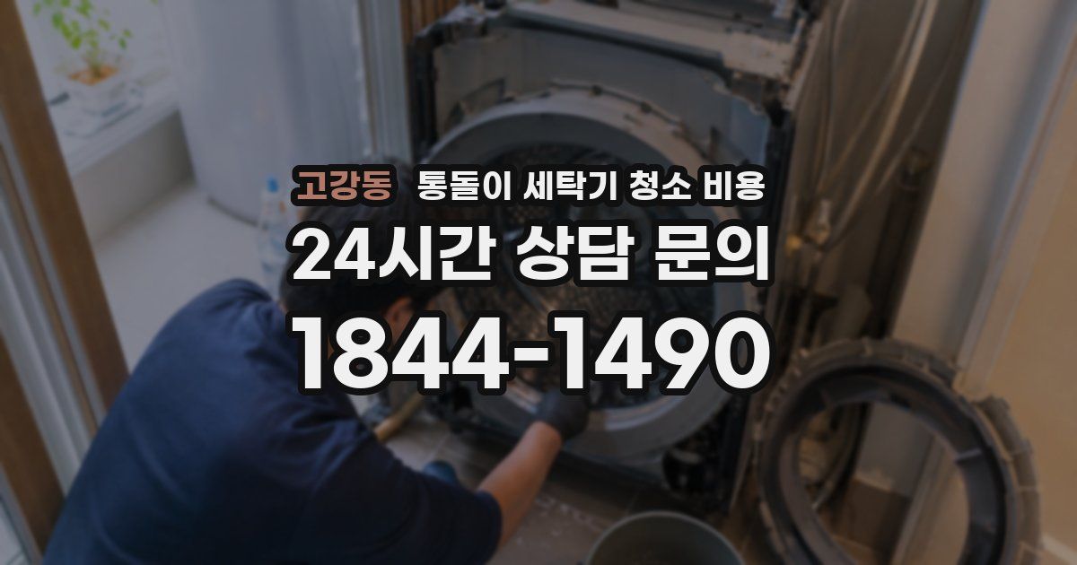 고강동 통돌이 세탁기 청소 비용