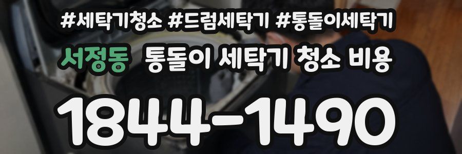 서정동 통돌이 세탁기 청소 비용