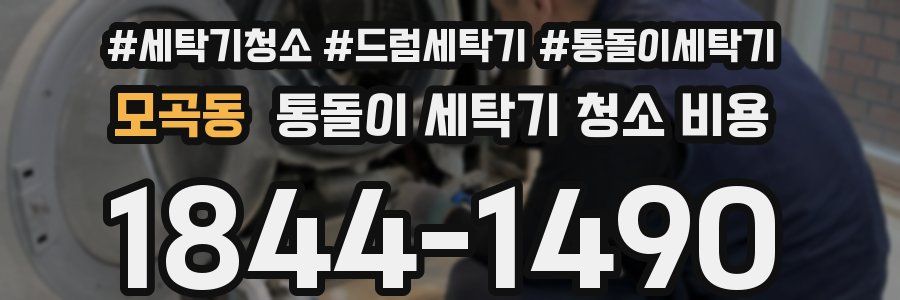 모곡동 통돌이 세탁기 청소 비용
