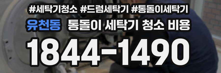 유천동 통돌이 세탁기 청소 비용