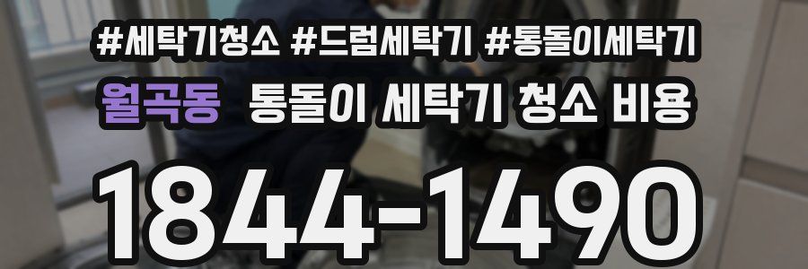 월곡동 통돌이 세탁기 청소 비용