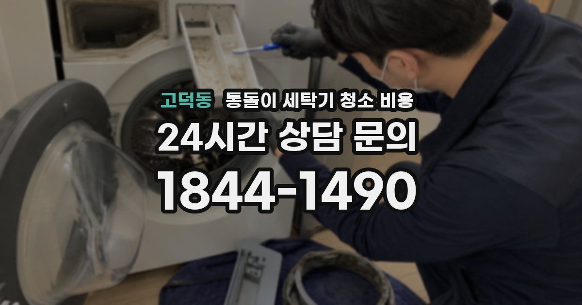고덕동 통돌이 세탁기 청소 비용