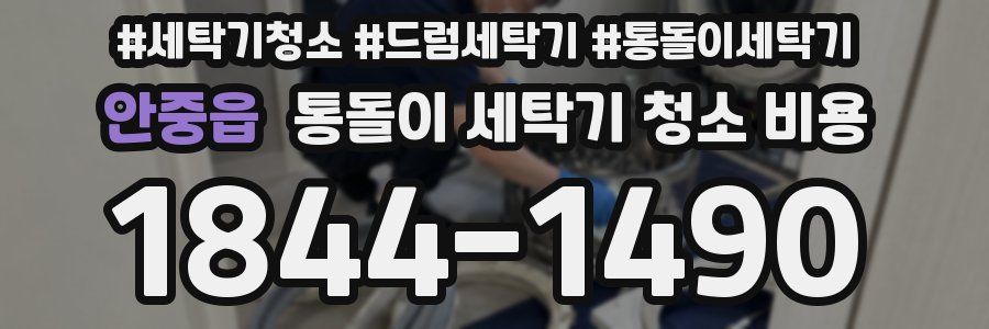 안중읍 통돌이 세탁기 청소 비용