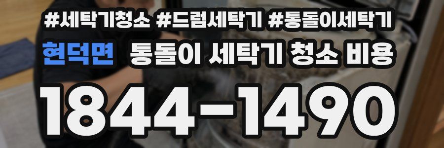 현덕면 통돌이 세탁기 청소 비용