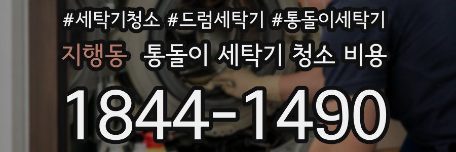 지행동 통돌이 세탁기 청소 비용