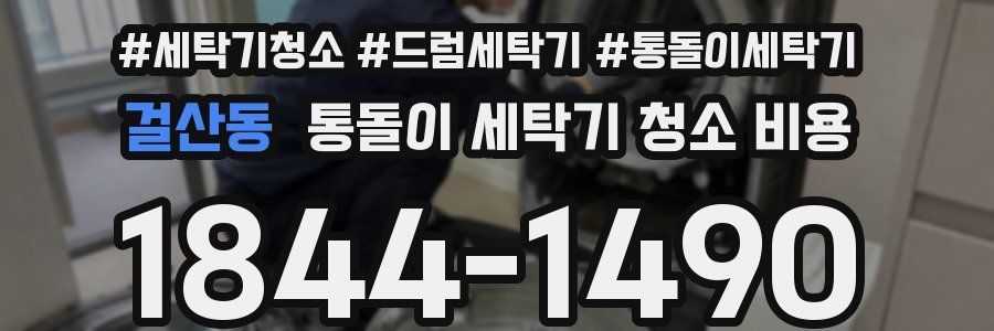 걸산동 통돌이 세탁기 청소 비용