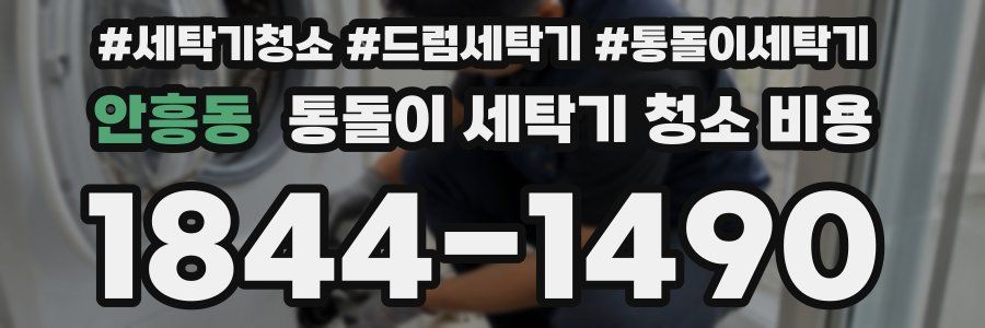 안흥동 통돌이 세탁기 청소 비용