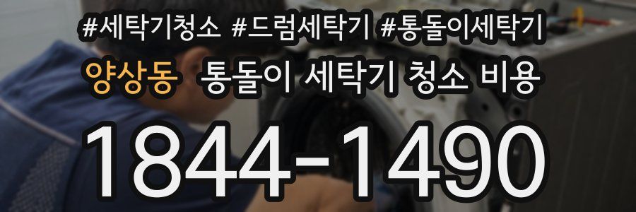 양상동 통돌이 세탁기 청소 비용