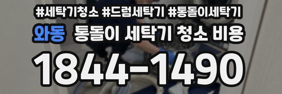와동 통돌이 세탁기 청소 비용