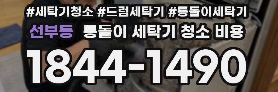 선부동 통돌이 세탁기 청소 비용
