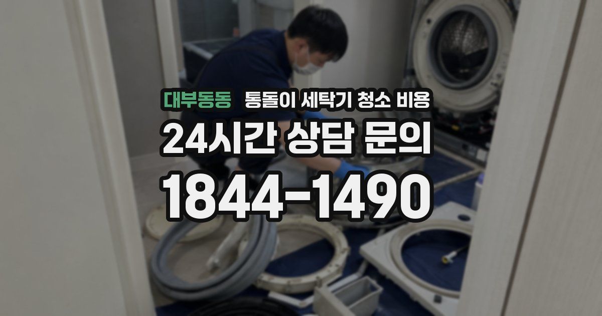 대부동동 통돌이 세탁기 청소 비용