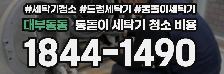 대부동동 통돌이 세탁기 청소 비용