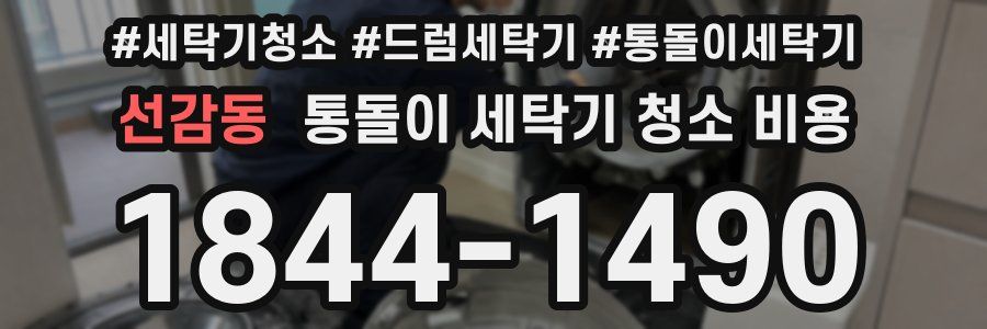 선감동 통돌이 세탁기 청소 비용