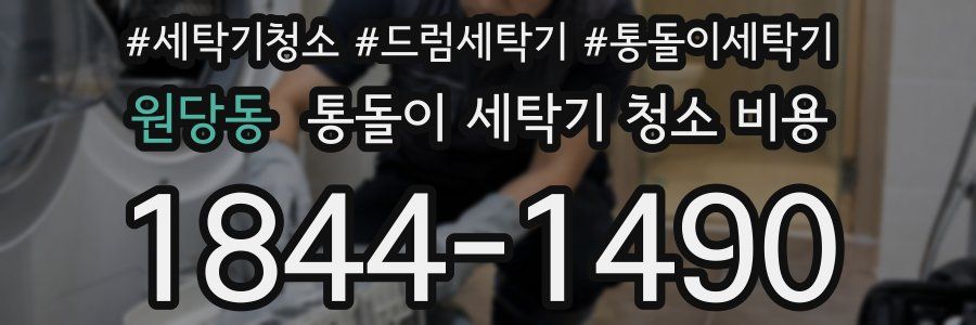 원당동 통돌이 세탁기 청소 비용