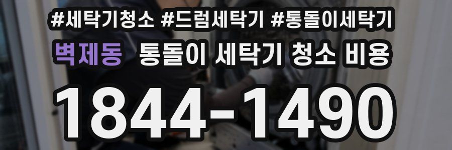 벽제동 통돌이 세탁기 청소 비용