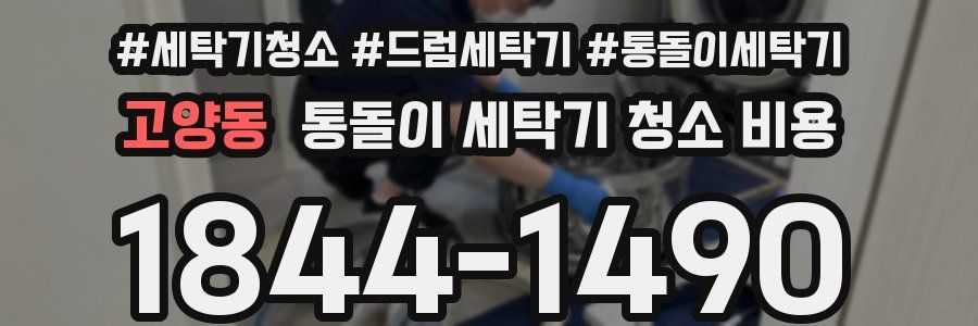 고양동 통돌이 세탁기 청소 비용