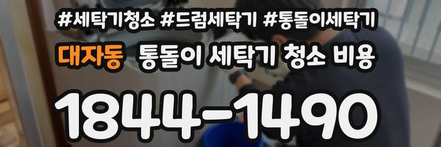 대자동 통돌이 세탁기 청소 비용