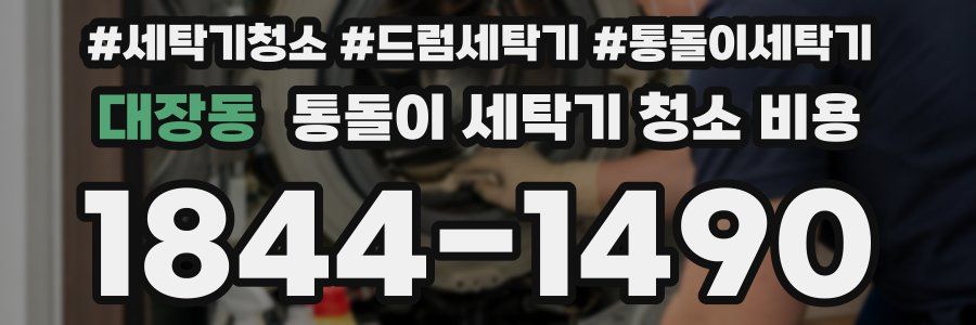 대장동 통돌이 세탁기 청소 비용