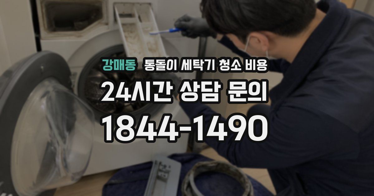 강매동 통돌이 세탁기 청소 비용