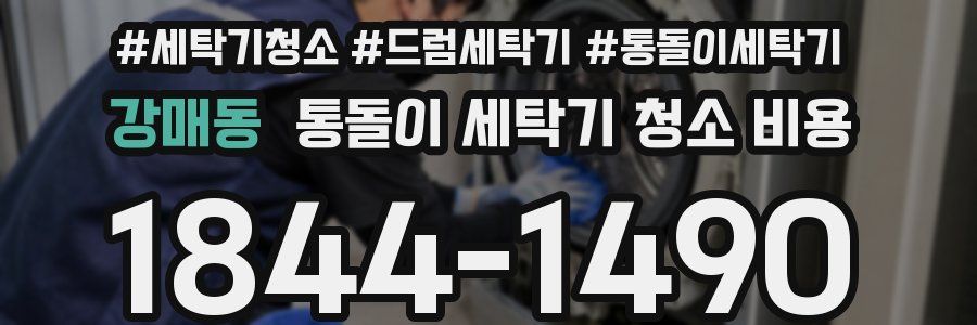 강매동 통돌이 세탁기 청소 비용
